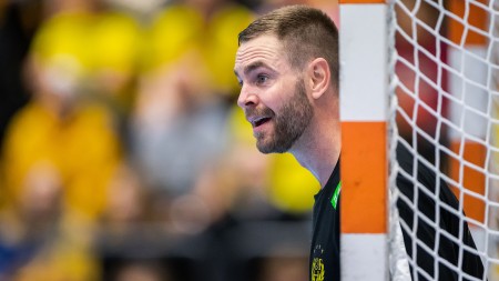 Andreas Palicka utsedd till årets spelare