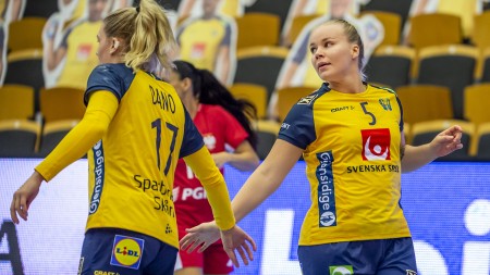 Sveriges EM-gruppspel flyttas till Herning