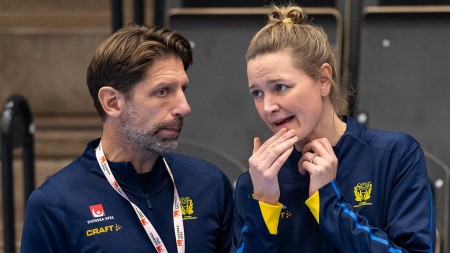 Wiberg missar OS-kvalet i Spanien