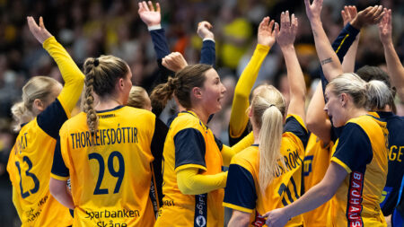 Rutinerad svensk trupp till VM