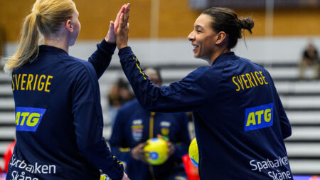 Matchguide: Sverige–Litauen
